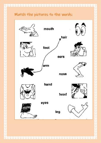 Parts of the body