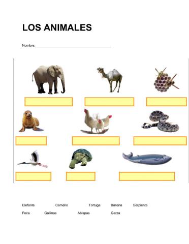 Animales