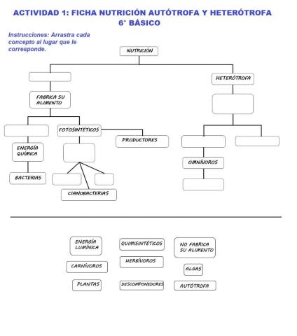 Actividad 1: Nutrición autótrofa y heterótrofa