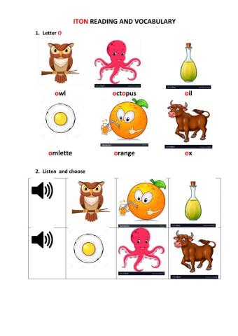 Letter O vocab