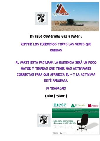 5A mese forma de trabajo