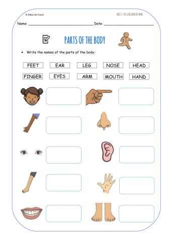 BODY PARTS-read and match