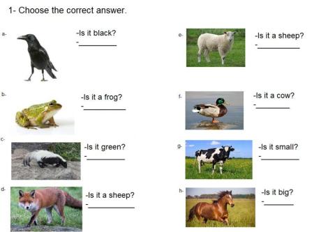 Animals  - poptropica 2 unit 5