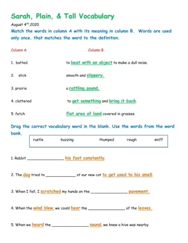 Sarah, Plain and tall Vocabulary Worksheet