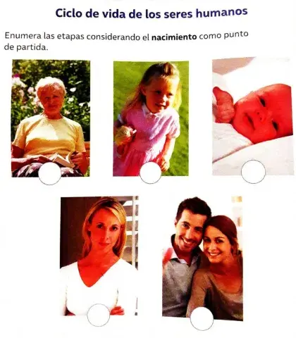 Ciclo de vida de los seres humanos.