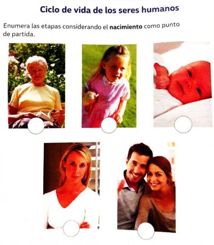 Ciclo de vida de los seres humanos.