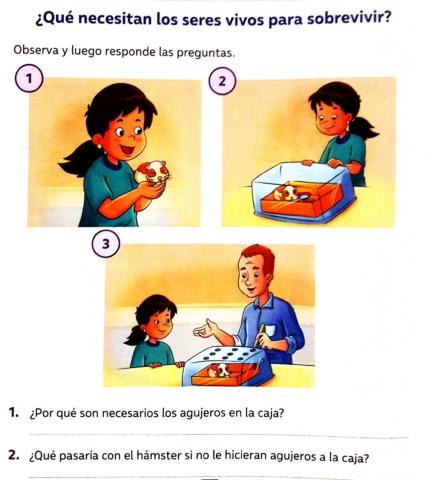 ¿Qué necesitan los seres vivos para sobrevivir?
