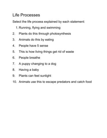 Life Processes Quiz