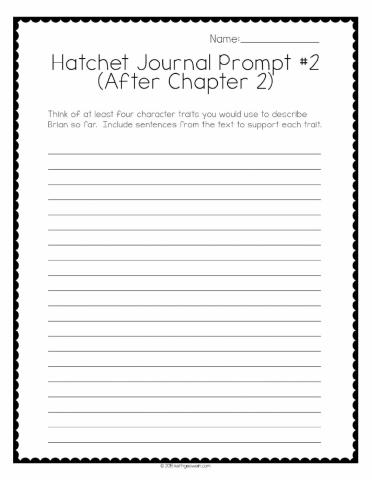 Hatchet Chapter 2 Journal Reflection