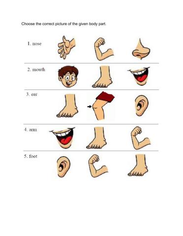 Parts of the body