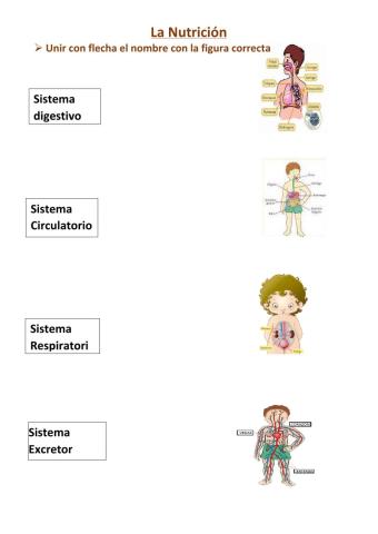 Función de la nutrición