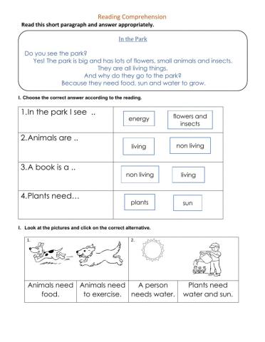 Reading Comprehension - Friday 4