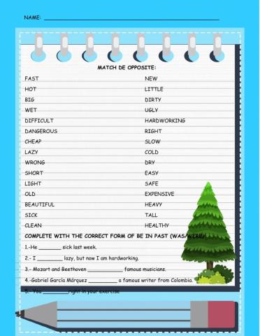 Opposites and was-were