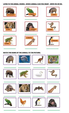 Animals Adjectives