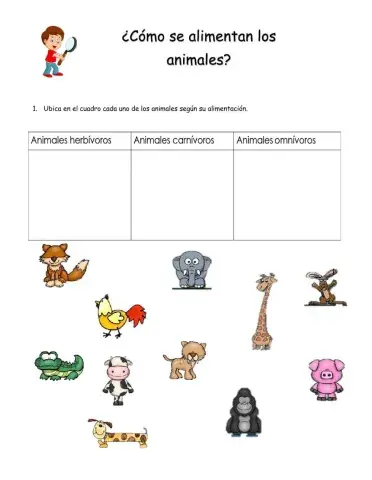 Los animales y su alimentacion