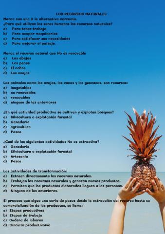 Los recursos Naturales