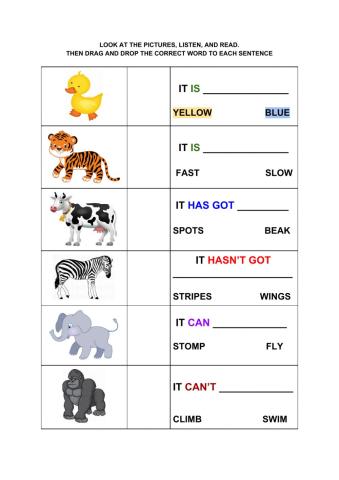 Animals - reading sentences