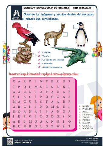 Animales en peligro de extinción en el perú