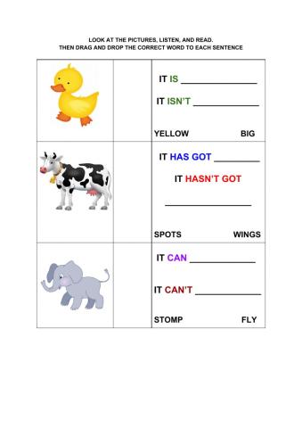 Animals - reading sentences part 2