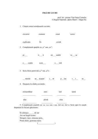 Fișă de lucru