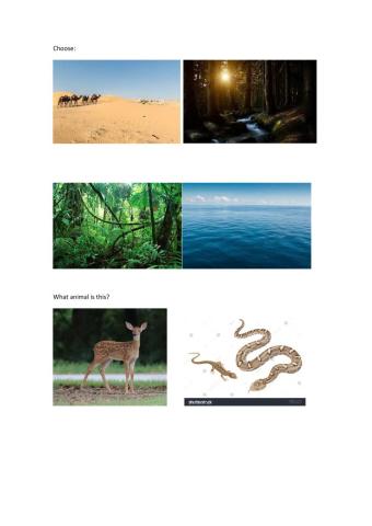 Animals and their habitats