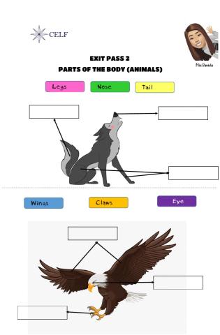 Body parts (animals)