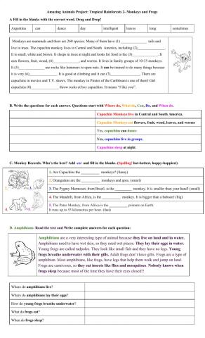 Project: Rainforest II