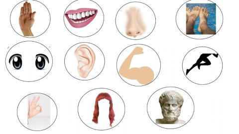 Matching game body parts