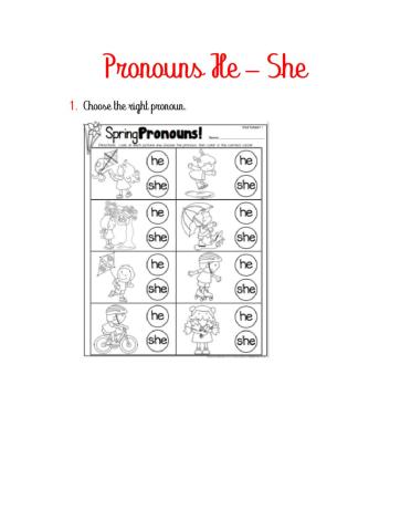 Pronouns He and She