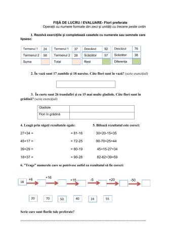 Flori preferate-operații cu numere ZU-cu trecere peste ordin