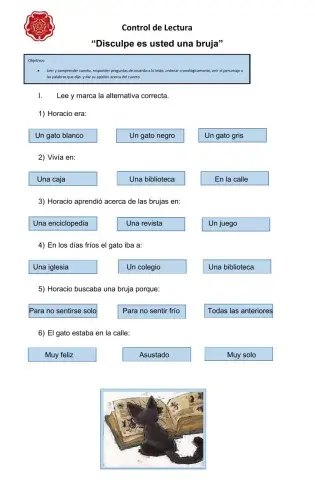 Disculpe ¿es usted una bruja?