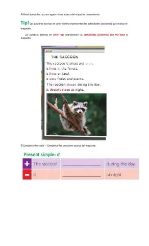 Read and complete about the raccoon