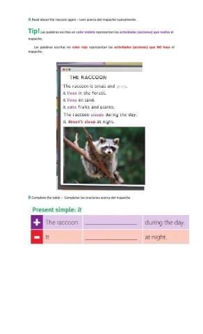 Read and complete about the raccoon