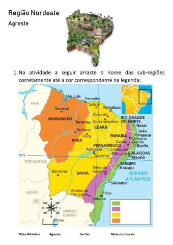 Sub-regiões do Nordeste brasileiro