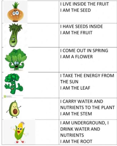 Food from plants