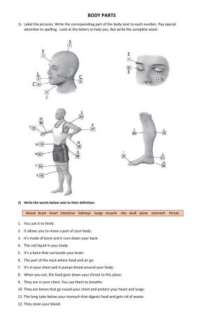 Parts of the Body