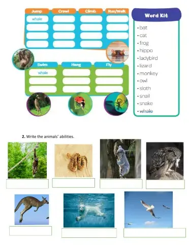 Animals' abilities