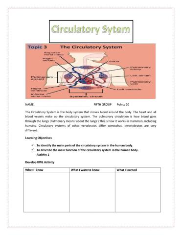 Circulatory Systems Fifth Grade