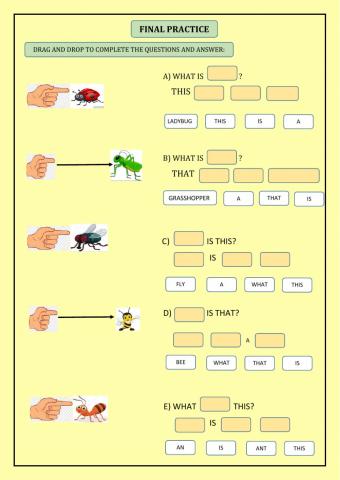 Little animals (insects)