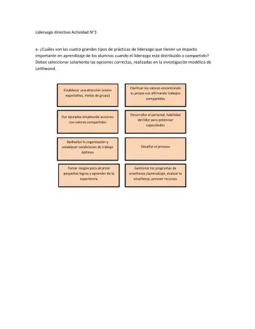 Liderazgo directivo Actividad N°3