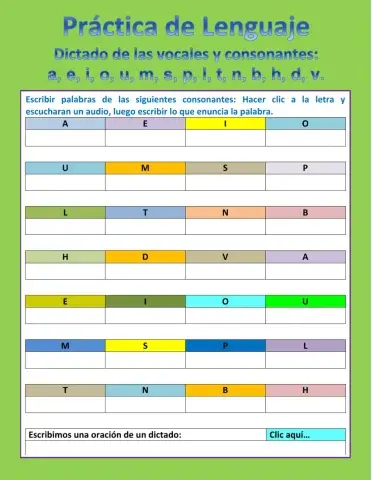 Práctica de lenguaje
