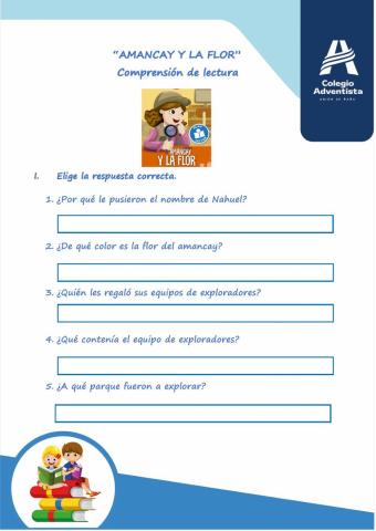 Comprensión de lectura