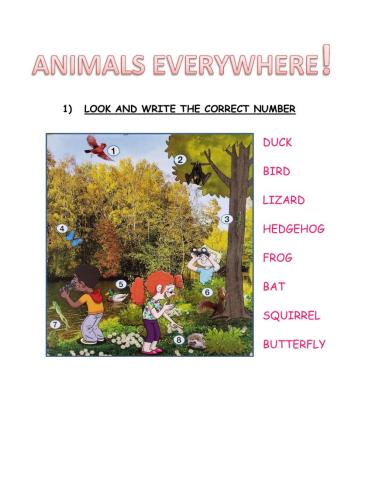 Animals everywhere