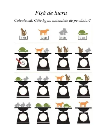 Fișă de lucru
