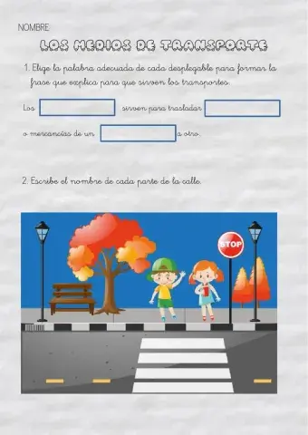 Los medios de transporte