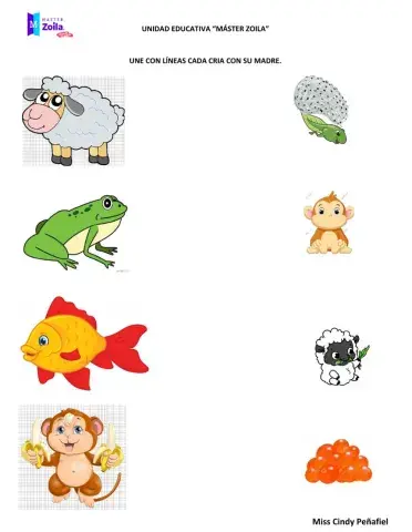 Clasificación de los animales