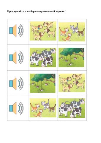 4 cats dogs cows spiders