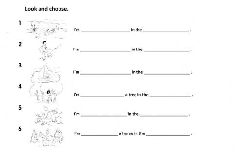 The Nature Trail (Present Continuous)