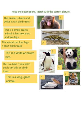 Wild animals matching