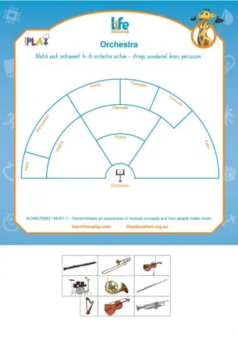 Life Ed - Orchestra Sections